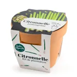 Radis et Capucine - Kit Citronnelle - Pot en Terre Cuite - 13 cm - MEDIA_3D