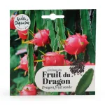 Radis et Capucine - Fruit du Dragon à semer - face recto