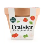 Radis et Capucine - Kit Fraisier - Pot Terre Cuite Antique - 13 cm - PACKAGING_RECTO