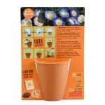 Radis et Capucine - Kit de jardinage enfant - Princesse - MEDIA_PACKAGING_VERSO