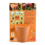 Radis et Capucine - Kit de jardinage enfant - Plante Carnivore - T-Rex - MEDIA_PACKAGING_VERSO