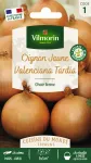 Potagères - Oignon jaune Valenciana Tardia - face recto