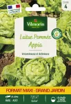 Potagères - Laitue Pommée Appia - Grand Modèle - face recto