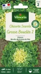 Potagères - Chicorée Scarole Grosse Bouclée 2 - PACKAGING_RECTO