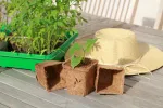Accessoires pour semer - Godet Coco Rond - 8 cm (x16) - MEDIA_EN_SITUATION_1