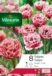 Bulbes à fleurs à planter à l'automne - Tulipe Brest (x8) - PACKAGING_RECTO