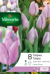Bulbes à fleurs à planter à l'automne - Tulipe Candy Prince (x8) - PACKAGING_RECTO