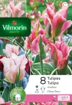 Bulbes à fleurs à planter à l'automne - Tulipe Viridiflora China Town (x8) - PACKAGING_RECTO