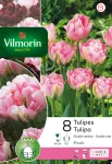 Bulbes à fleurs à planter à l'automne - Tulipe Finola Double Tardive (x8) - face recto
