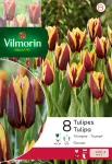 Bulbes à fleurs à planter à l'automne - Tulipe Triomphe Gavota (x8) - PACKAGING_RECTO