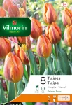 Bulbes à fleurs à planter à l'automne - Tulipe Prinsesse Irene (x8) - PACKAGING_RECTO