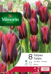 Bulbes à fleurs à planter à l'automne - Tulipe Slawa (x8) - PACKAGING_RECTO
