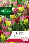 Bulbes à fleurs à planter à l'automne - Tulipe Viridiflora Viridiflora en Mélange (x8) - PACKAGING_RECTO
