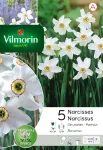 Bulbes à fleurs à planter à l'automne - Narcisse Recurvus (x5) - PACKAGING_RECTO