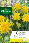 Bulbes à fleurs à planter à l'automne - Narcisse Rip Van Winkle (x8) - PACKAGING_RECTO