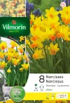 Bulbes à fleurs à planter à l'automne - Narcisse Jetfire Vil (x8) - PACKAGING_RECTO