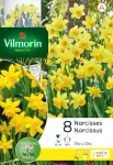 Bulbes à fleurs à planter à l'automne - Narcisse Tete A Tete (x8) - PACKAGING_RECTO