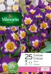 Bulbes à fleurs à planter à l'automne - Crocus Sieberi (x25) - face recto
