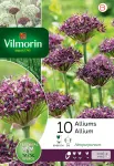 Bulbes à fleurs à planter à l'automne - Allium Atropurpereum (x10) - PACKAGING_RECTO