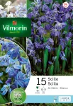 Bulbes à fleurs à planter à l'automne - Scilla Sibérie (x15) - PACKAGING_RECTO