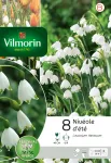 Bulbes à fleurs à planter à l'automne - Leucojum Aestivum (x8) - PACKAGING_RECTO