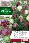 Bulbes à fleurs à planter à l'automne - Fritillaire Meleagris (x25) - PACKAGING_RECTO