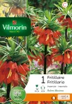 Bulbes à fleurs à planter à l'automne - Fritillaire Imperialis Rubra (x1) - PACKAGING_RECTO