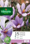 Bulbes à fleurs à planter à l'automne - Crocus Sativus (x15) - PACKAGING_RECTO