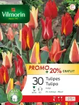 Bulbes à fleurs à planter à l'automne - Tulipe Greigii en Mélange (x30) + 25% Offert - PACKAGING_RECTO