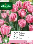 Bulbes à fleurs à planter à l'automne - Tulipe Foxtrot (x20) - PACKAGING_RECTO