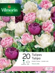Bulbes à fleurs à planter à l'automne - Tulipe Victoria Double Tardive en Mélange (x20) - face recto