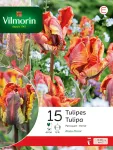 Bulbes à fleurs à planter à l'automne - Tulipe Rasta Parrot (x15) - face recto