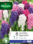 Bulbes à fleurs à planter à l'automne - Jacinthe Orientale en Mélange (x8) - face recto