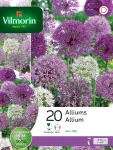Bulbes à fleurs à planter à l'automne - Allium Mélange (x20) - face recto
