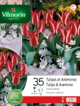 Bulbes à fleurs à planter à l'automne - Tulipes et Anémones (x35) - face recto