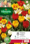 Bulbes à fleurs à planter à l'automne - Tulipe Kaufmannia Selection en Mélange (x8) - PACKAGING_RECTO
