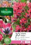 Bulbes à fleurs à planter à l'automne - Tulipe Pulchella Little Beauty (x10) - PACKAGING_RECTO
