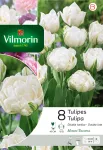 Bulbes à fleurs à planter à l'automne - Tulipe Mount Tacoma (x8) - PACKAGING_RECTO