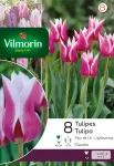 Bulbes à fleurs à planter à l'automne - Tulipe fleur de lis Claudia (x8) - PACKAGING_RECTO