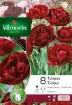 Bulbes à fleurs à planter à l'automne - Tulipe Double Tardive Canyon - PACKAGING_RECTO