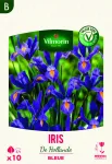 Bulbes à fleurs à planter au printemps - Iris de Hollande Bleue (x10) - PACKAGING_RECTO