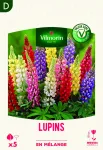 Bulbes à fleurs à planter au printemps - Lupin en Mélange (x5) - face recto