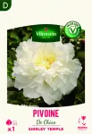 Bulbes à fleurs à planter au printemps - Pivoine De Chine Shirley Temple (x1) - PACKAGING_RECTO