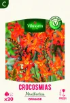 Bulbes à fleurs à planter au printemps - Montbrétia Crocosmia Orange (x20) - face recto