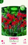 Bulbes à fleurs à planter au printemps - Canna Greenleaves Rouge (x2) - face recto