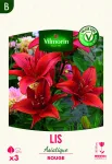 Bulbes à fleurs à planter au printemps - Lis Asiatique Rouge (x3) - face recto