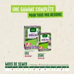 Anglais - Gazon Anglais Label Rouge - 1 kg - image