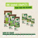 Rustique - Gazon Rustique - 5 kg - image