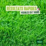7 jours, pousse rapide - Gazon 7 jours - 250 g - image