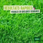 Vert toutes saisons - Pelouse verte toutes saisons - 5 kg - image